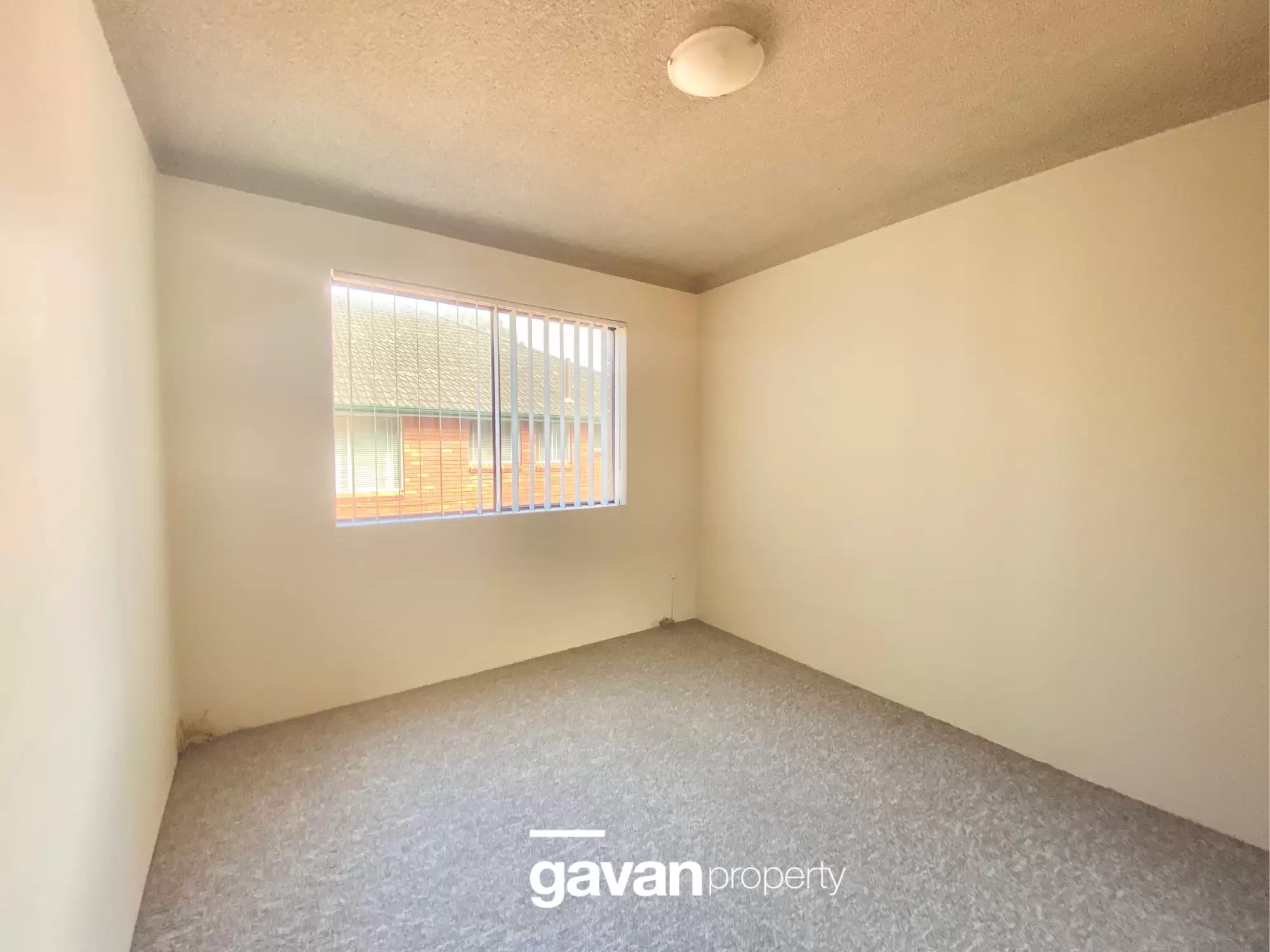 6/25 Martin Place, Mortdale For Lease by Gavan Property - image 1