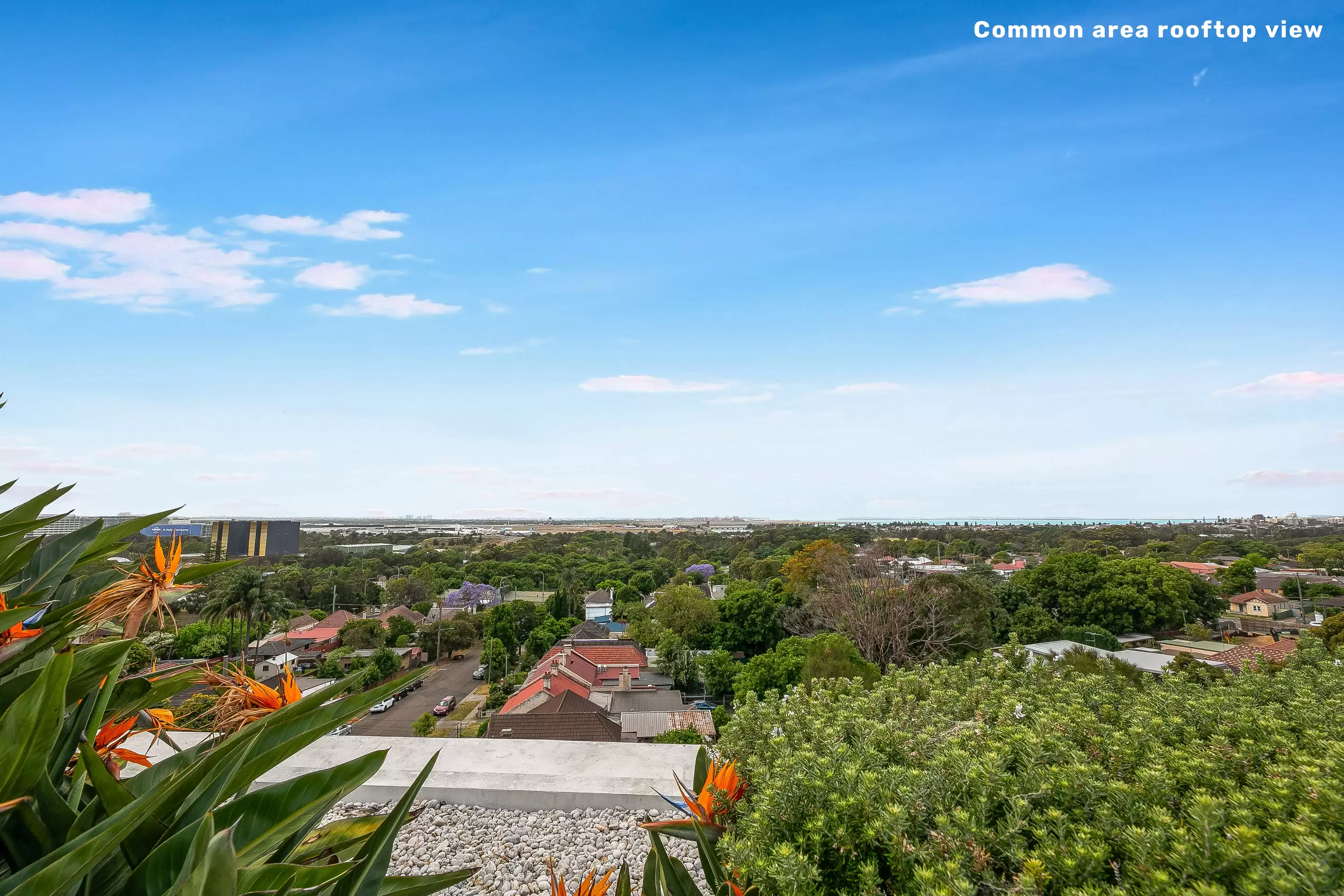 206/1 Kyle Street, Arncliffe Sold by Gavan Property - image 1